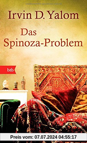 Das Spinoza-Problem: Roman